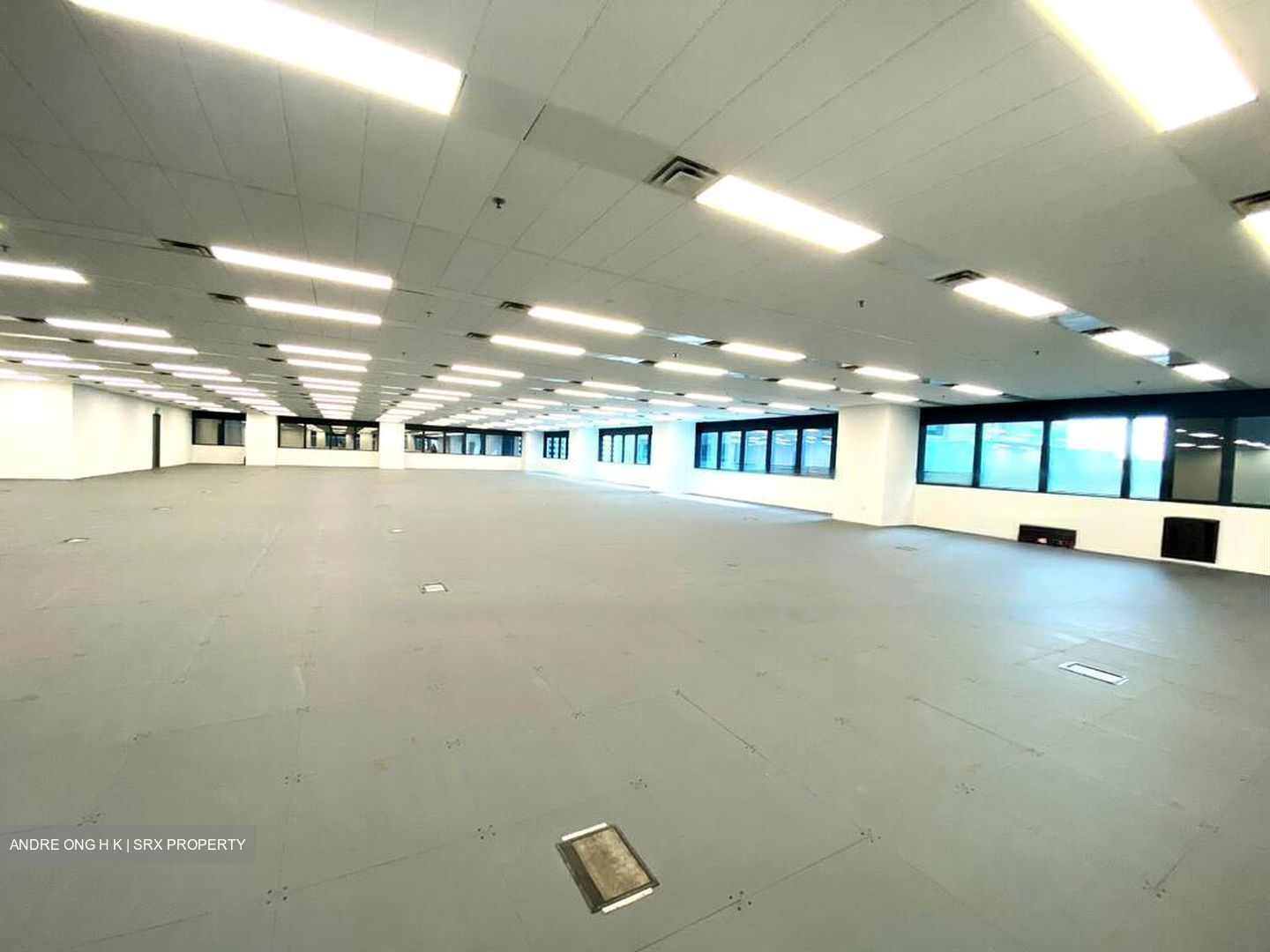 Robinson 77 (D1), Office #460163891